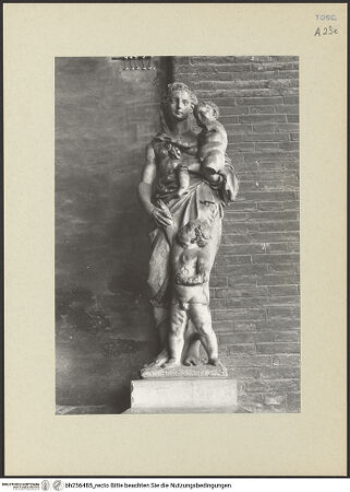 Vorderseite von bh256485_recto