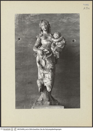 Vorderseite von bh256486_recto