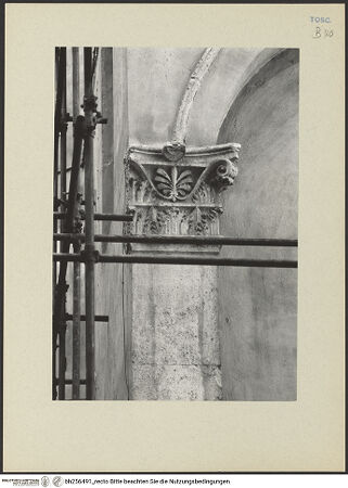 Vorderseite von bh256491_recto