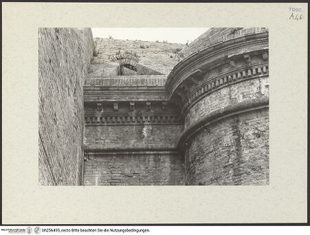 Vorderseite von bh256495_recto