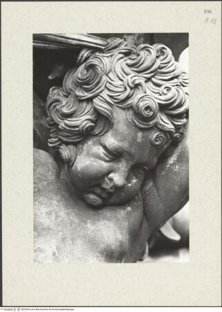 Vorderseite von bh256544_recto