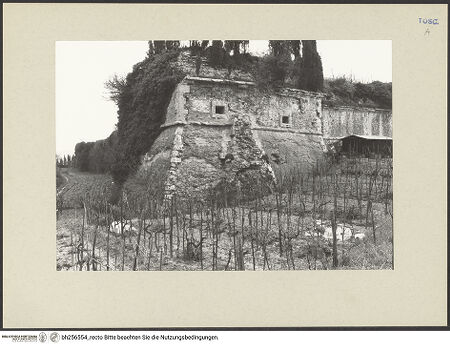 Vorderseite von bh256554_recto