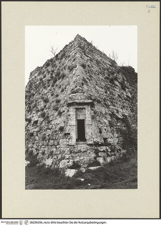 Vorderseite von bh256556_recto