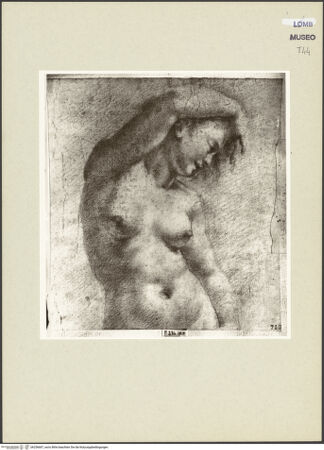 Vorderseite von bh256687_recto