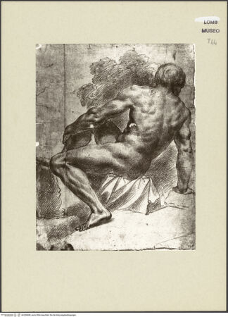 Vorderseite von bh256688_recto