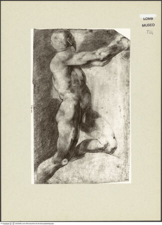 Vorderseite von bh256689_recto