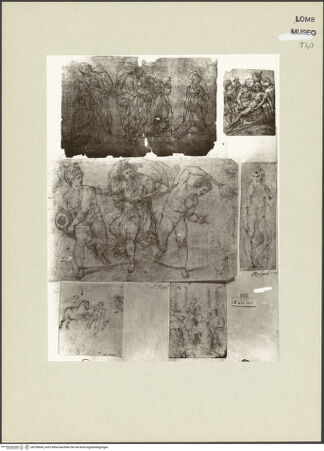 Vorderseite von bh256694_recto