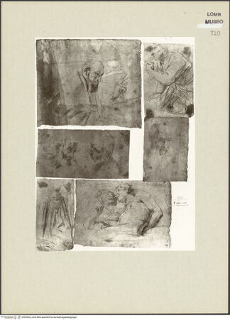 Vorderseite von bh256695_recto