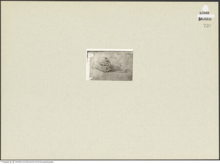 Vorderseite von bh256698_recto