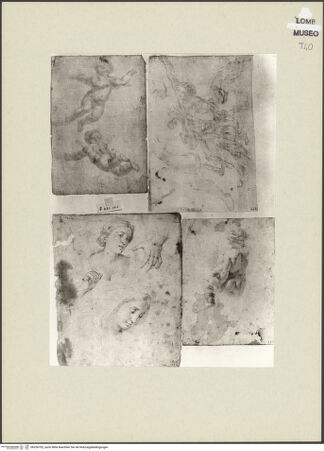 Vorderseite von bh256702_recto