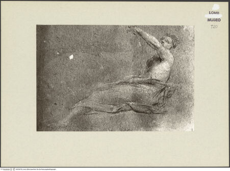 Vorderseite von bh256703_recto