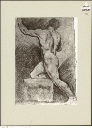 Vorderseite von bh256704_recto