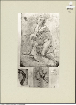 Vorderseite von bh256705_recto