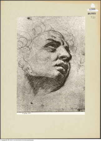 Vorderseite von bh256713_recto