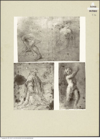 Vorderseite von bh256716_recto