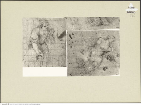 Vorderseite von bh256719-1_bh256719-2_recto