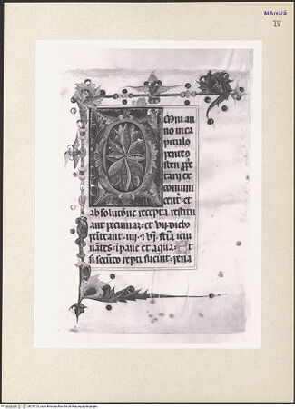 Vorderseite von bh256723_recto