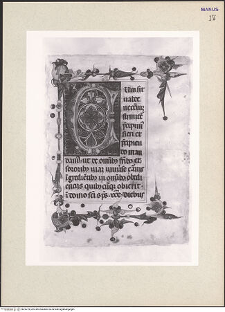 Vorderseite von bh256729_recto