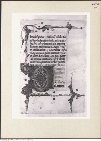 Vorderseite von bh256730_recto