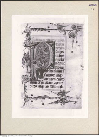 Vorderseite von bh256731_recto