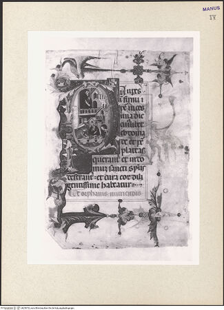 Vorderseite von bh256732_recto