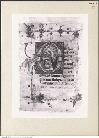 Vorderseite von bh256733_recto