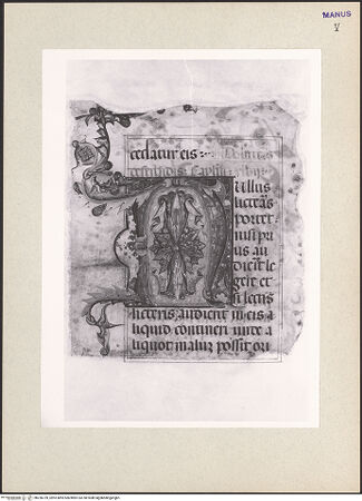 Vorderseite von bh256739_recto