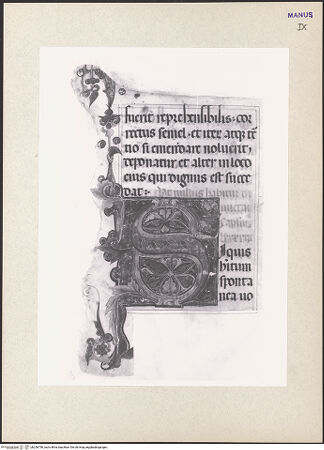 Vorderseite von bh256756_recto