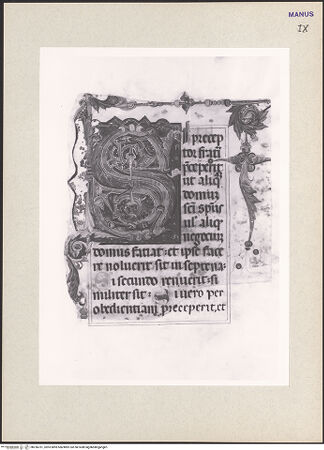 Vorderseite von bh256761_recto