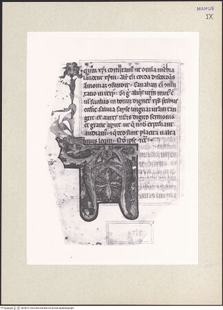 Vorderseite von bh256767_recto