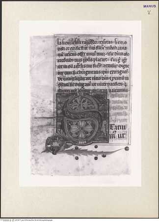 Vorderseite von bh256771_recto