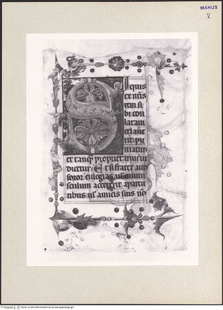 Vorderseite von bh256772_recto