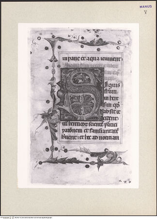 Vorderseite von bh256774_recto