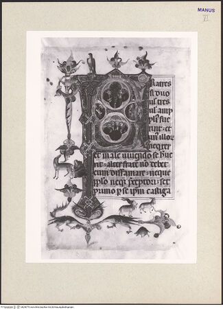 Vorderseite von bh256775_recto