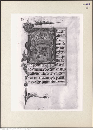 Vorderseite von bh256776_recto