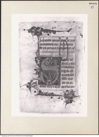 Vorderseite von bh256783_recto