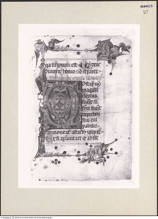 Vorderseite von bh256784_recto