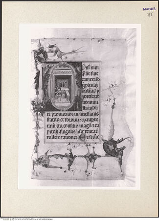 Vorderseite von bh256785_recto