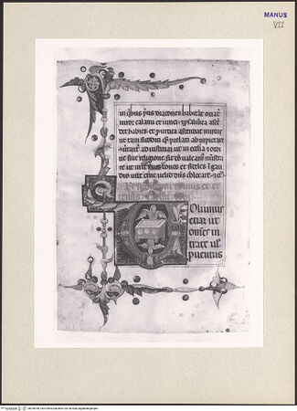 Vorderseite von bh256786_recto