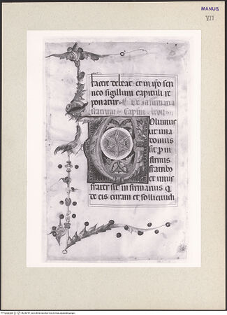 Vorderseite von bh256787_recto