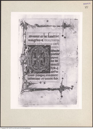 Vorderseite von bh256796_recto