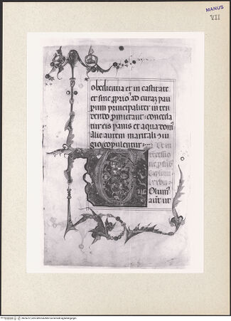 Vorderseite von bh256797_recto