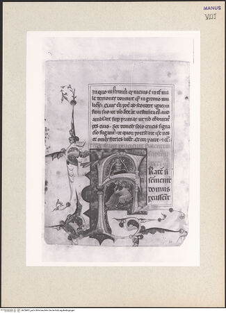 Vorderseite von bh256801_recto