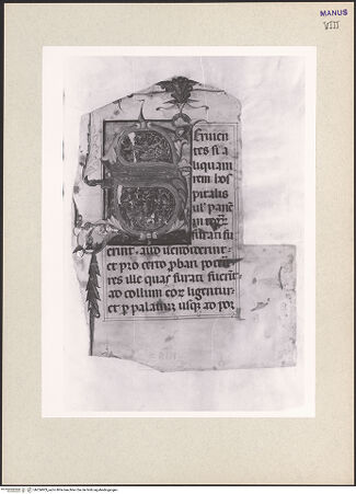 Vorderseite von bh256803_recto