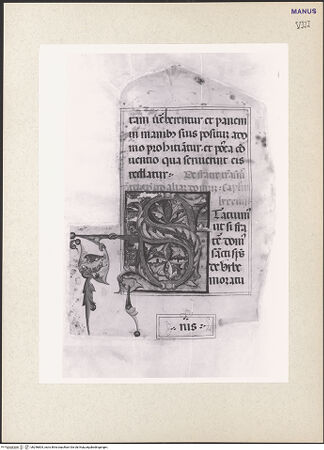 Vorderseite von bh256804_recto