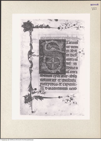 Vorderseite von bh256808_recto