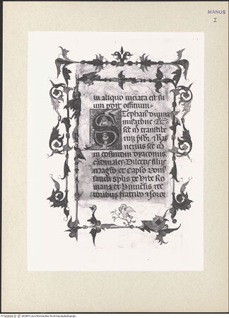 Vorderseite von bh256813_recto