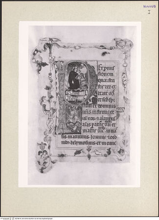 Vorderseite von bh256816_recto