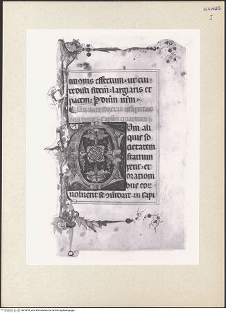 Vorderseite von bh256818_recto