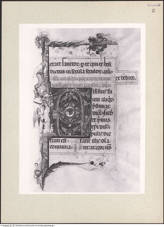 Vorderseite von bh256820_recto